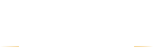 ws logo white transparent background
